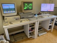 IMG_1291.jpeg