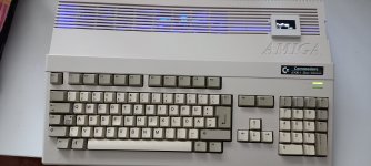 20250327_141212.jpg
